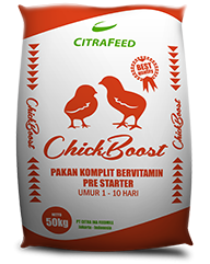 CHICK BOOST