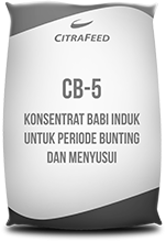 CB - 5
