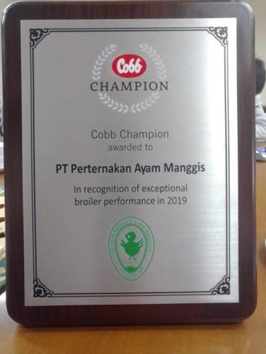 PT. Peternakan Ayam Manggis managed to get Cobb Champion